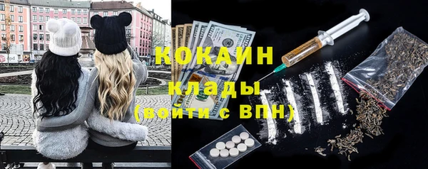 гашик Аркадак