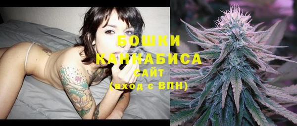гашик Аркадак