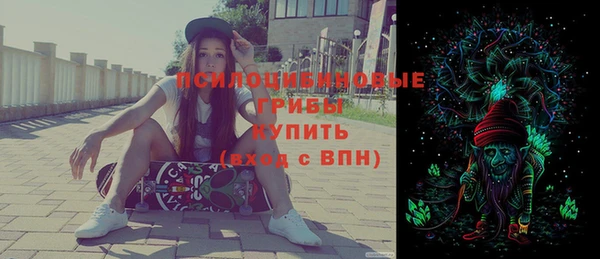 гашик Аркадак