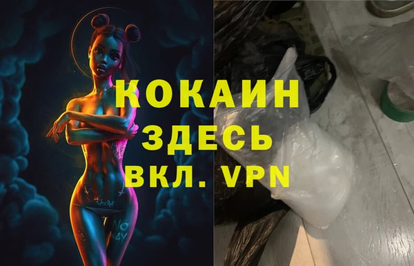 гашик Аркадак
